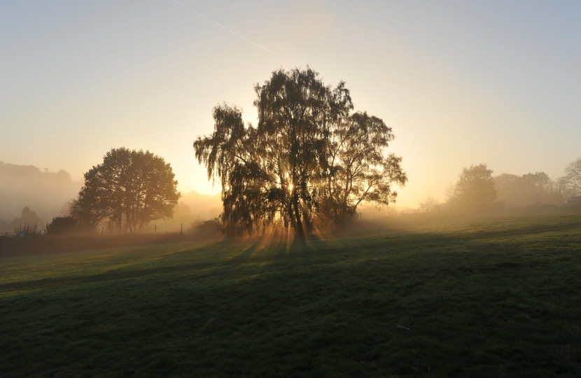 Chorleywood Common