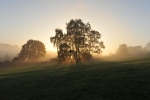 Chorleywood Common